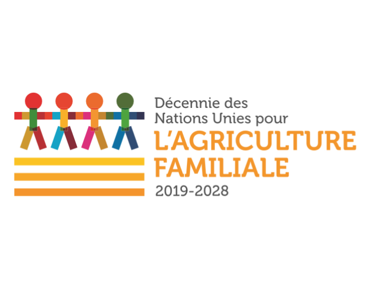 Décennie des nations unies pour l'agriculture familiale 2019-2028