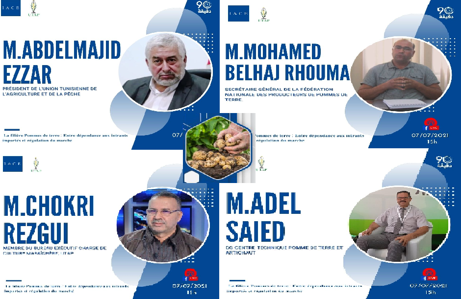 Webinaire “La filière Pommes de terre : Entre dépendance aux intrants importés et régulation du marché”