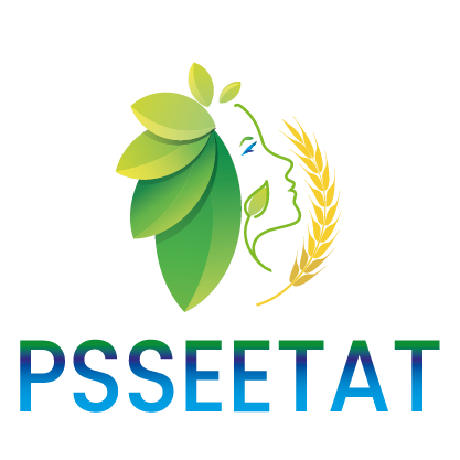 Appel à candidature pour le recrutement d’un facilitateur d’un atelier dans le cadre du projet PSSEETAT
